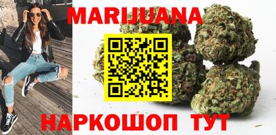 индика Шелехов