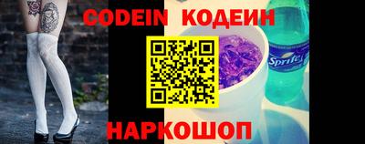 индика Шелехов