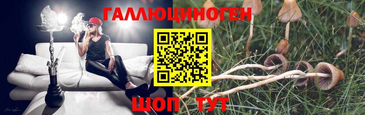 Пушкино  купить наркотики сайты  Вход с VPN  Псилоцибиновые грибы прущие грибы 